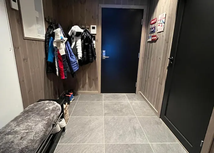 Exclusive In-out In Next To Fyri Apartament