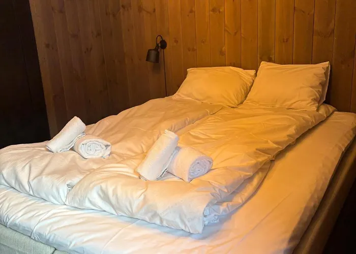 Exclusive In-out In Next To Fyri Apartament